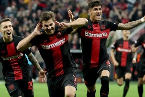 华体会体育-霍芬海姆客场惨败，快速下滑的简单介绍