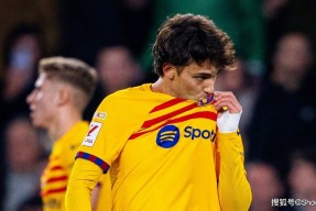 华体会登陆-马略卡重整旗鼓，击败强劲对手