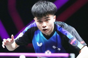 华体会-关于比利时乒乓球队鏖战日本乒乓球队，水谷隼送出助攻的信息