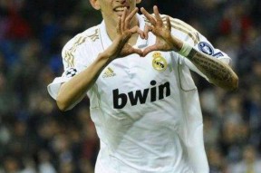 华体会网址-本菲卡绝杀尤文，迪玛利亚梅开二度法甲的简单介绍